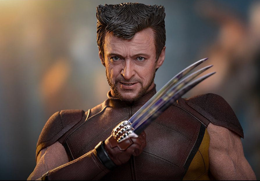 Preorder🔥Hot Toys MMS831 Deadpool & Wolverine 1/6th scale Wolverine (Classic Brown and Tan) Collectible Figure [Hot Toys Exclusive]