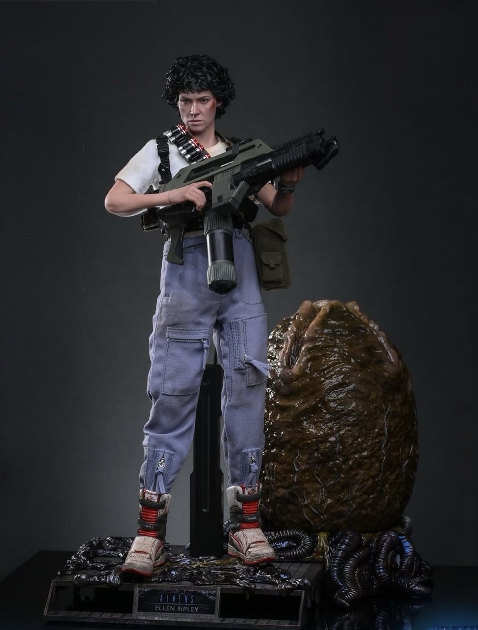 Preorder🔥Hot Toys MMS896AE Aliens Ellen Ripley (Artisan Edition Deluxe Version) [Hot Toys Exclusive] 1/6th scale Collectible Figure