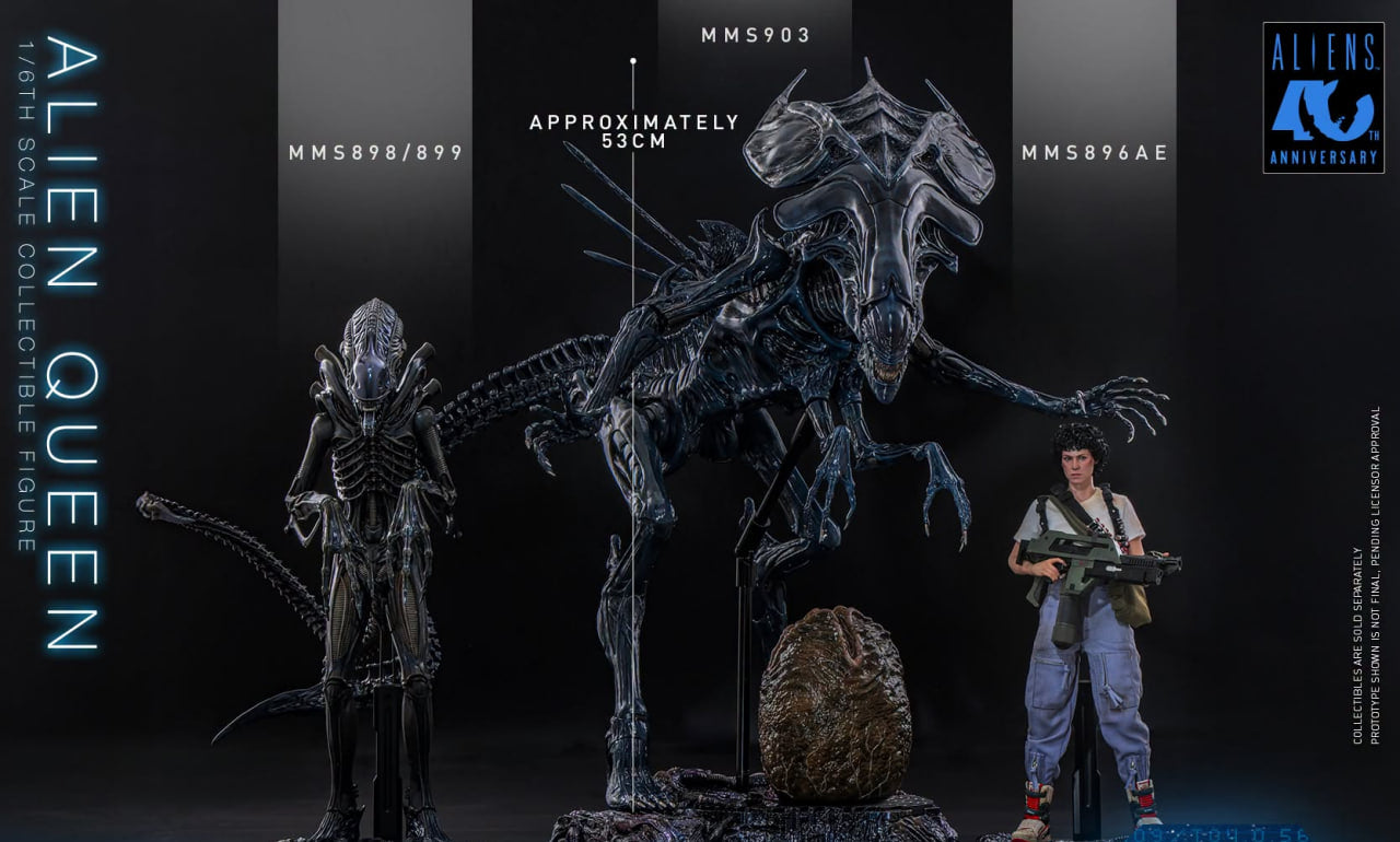 Preorder🔥Hot Toys MMS903 Aliens - 1/6th scale Alien Queen Collectible Figure