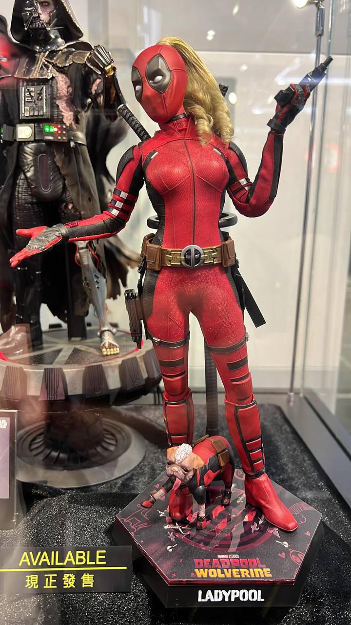 🔥Hot ToysMMS747 Deadpool & Wolverine 1/6 Ladypool