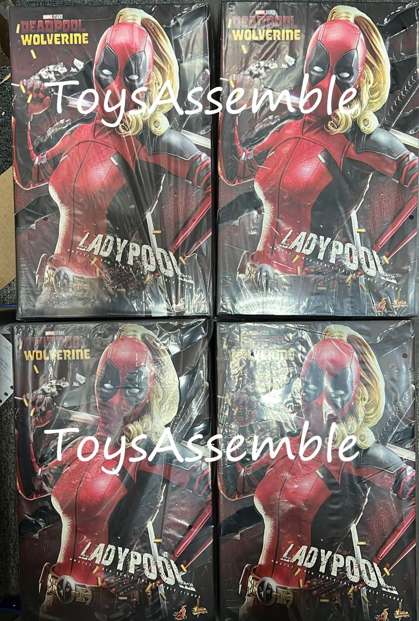 🔥Hot ToysMMS747 Deadpool & Wolverine 1/6 Ladypool