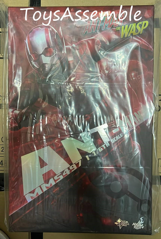 🔥Hottoys🔥MMS497 ANT-MAN AND THE WASP 1/6 ANT-MAN