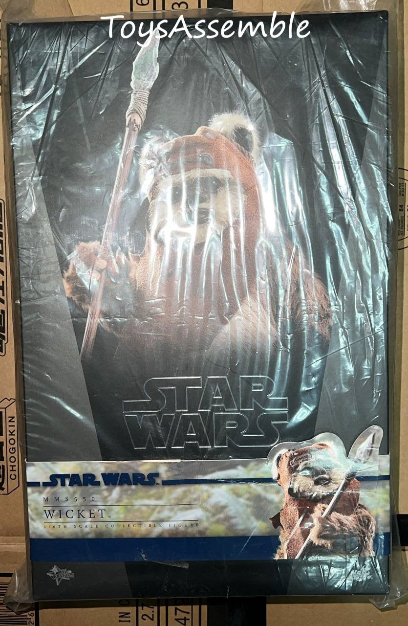 🔥Hottoys🔥MMS550 STAR WARS: RETURN OF THE JEDI 1/6 WICKET