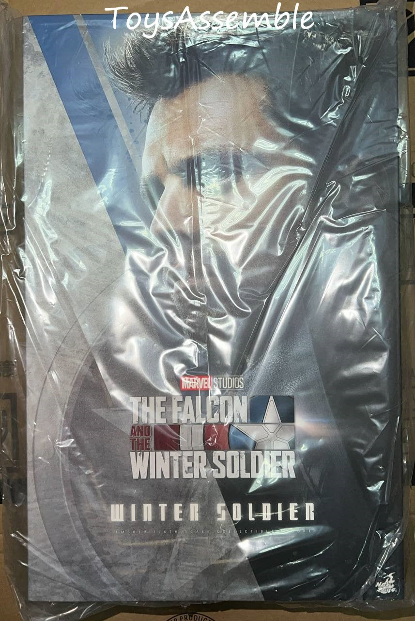 🔥Hot Toys🔥TMS039 The Falcon and the Winter Soldier 1/6 Winter Soldier