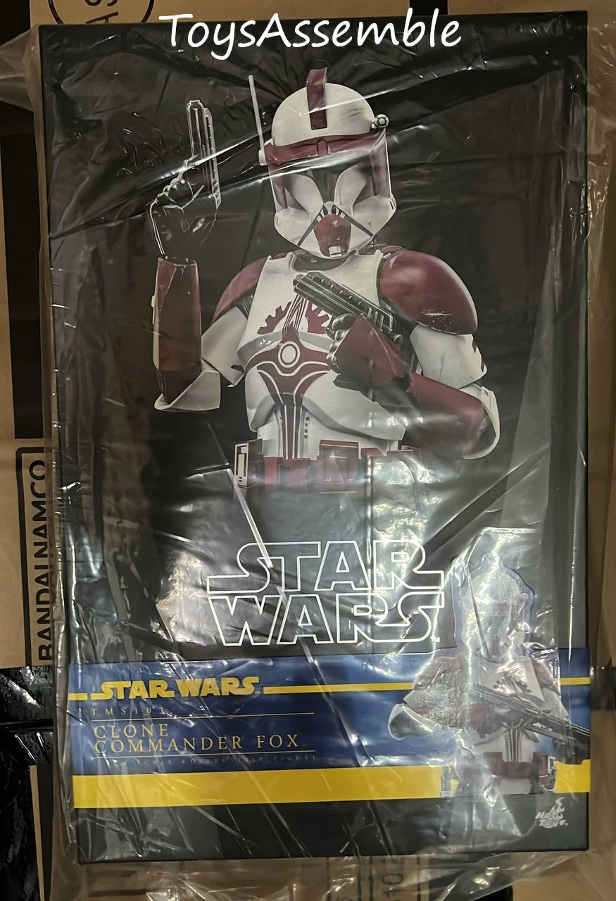 Hot Toys TMS103 Star Wars The Clone Wars – Clone Commander Fox 1/6 Scale Collectible Figure