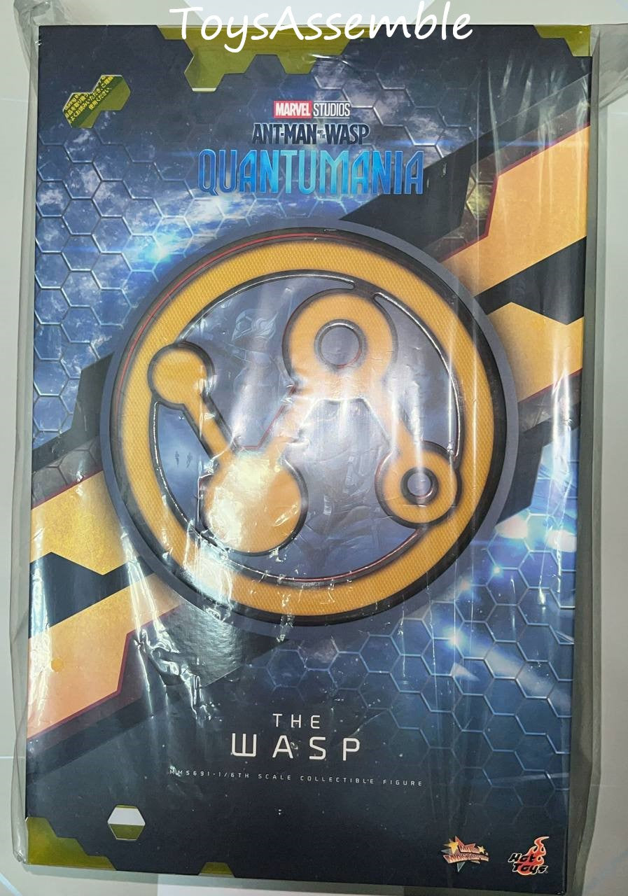 🔥Hot Toys MMS691 Antman and the Wasp Quantumania The Wasp 1/6 Scale Collectible Figure