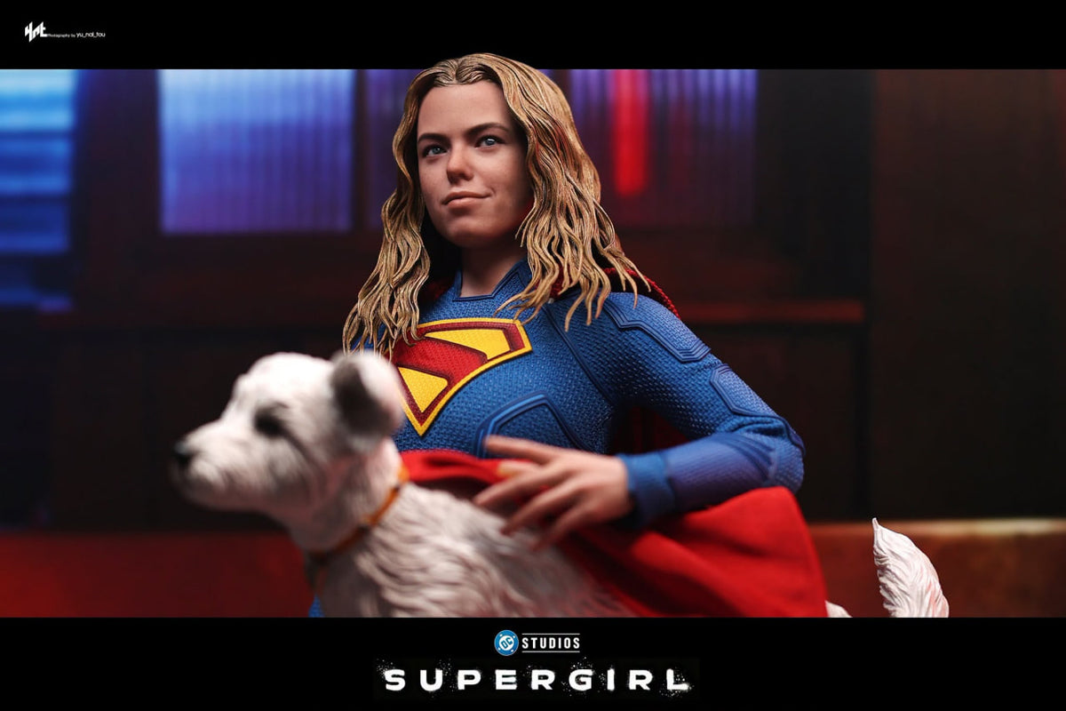 READY🔥Hot Toys MMS869 Supergirl - Supergirl & Krypto 1/6th scale Collectible Set