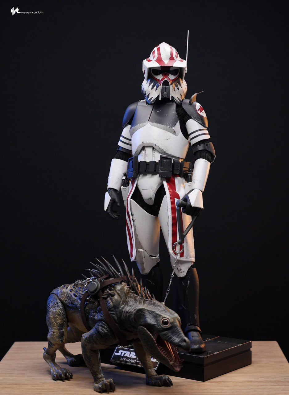 🔥Hot Toys TMS167 Star Wars: The Clone Wars - Sergeant Hound 1/6th Scale Collectible Figure