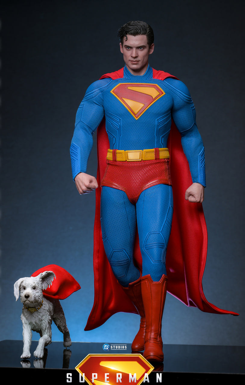 Preorder🔥Hot Toys MMS812 Superman 1/6th Scale Superman & Krypto Collectible Set