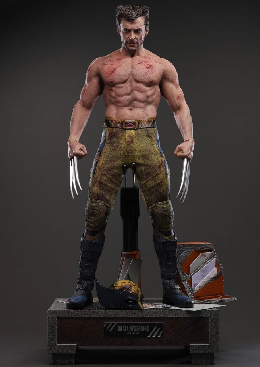 ホットトイズ　WOLVERIN TVA JAKET Wolverine (Jacket Version) Sixth Scale Figure by Hot Toys