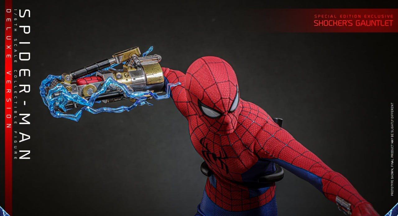 Hot Toys Collectibles 1/6 Figure VGM TMS MMS DX – ToysAssemble