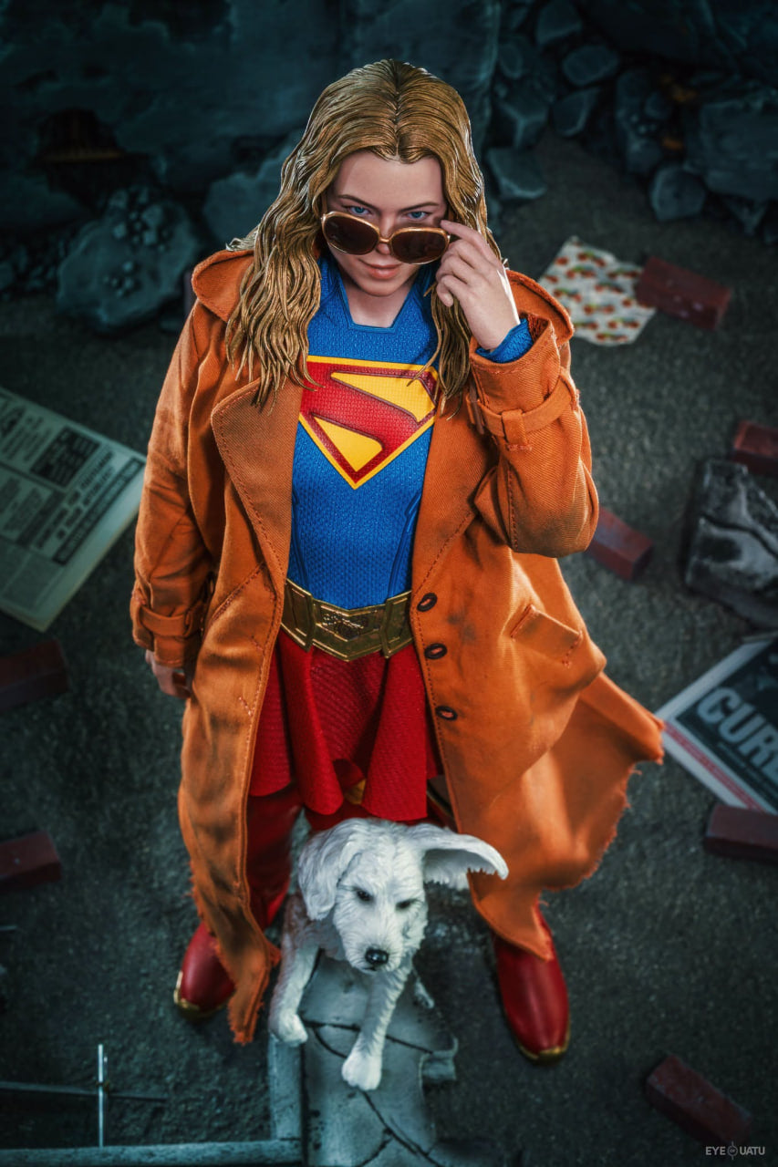 READY🔥Hot Toys MMS869 Supergirl - Supergirl & Krypto 1/6th scale Collectible Set