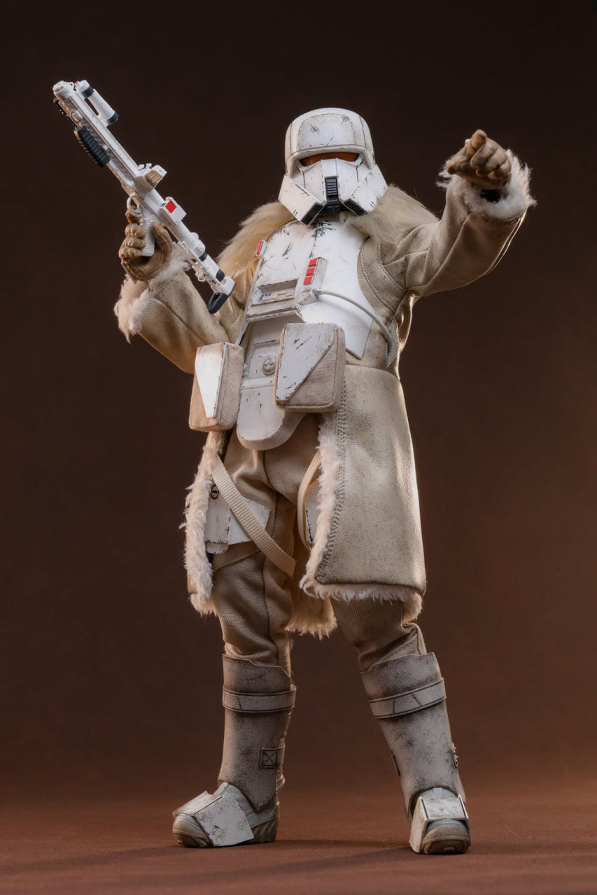 🔥Hot Toys TMS157 Star Wars: Andor 1/6th scale Range Trooper Collectible Figure