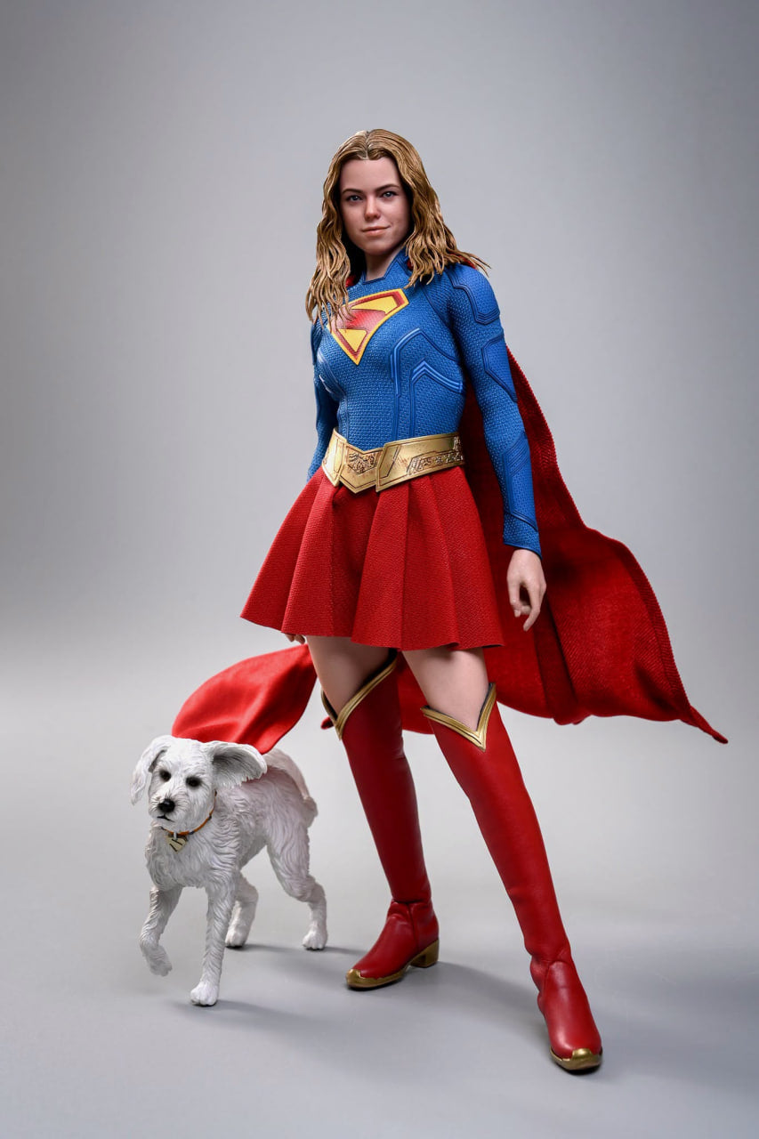READY🔥Hot Toys MMS869 Supergirl - Supergirl & Krypto 1/6th scale Collectible Set