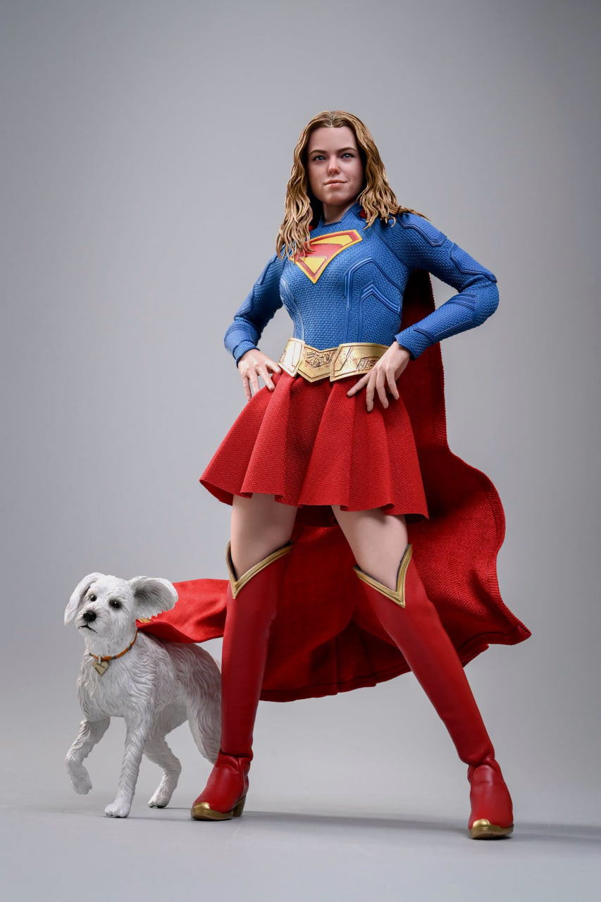 READY🔥Hot Toys MMS869 Supergirl - Supergirl & Krypto 1/6th scale Collectible Set