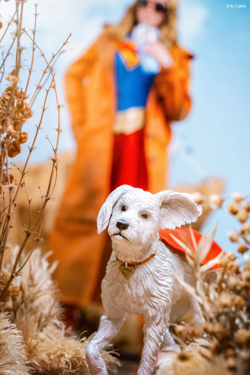READY🔥Hot Toys MMS869 Supergirl - Supergirl & Krypto 1/6th scale Collectible Set