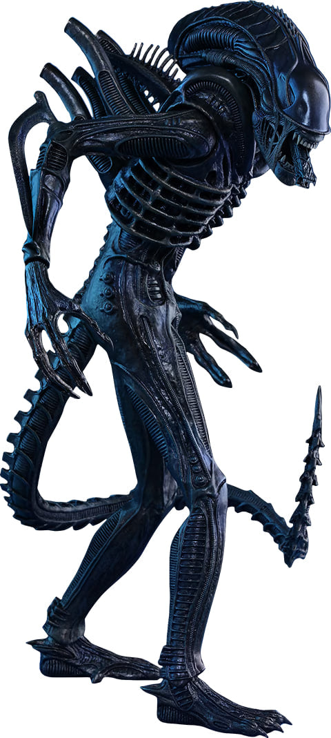 Hot toys MMS354 Alien: Alien Warrior 1/6 Scale Collectible Figure