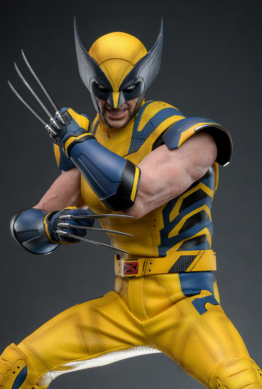 Preorder🔥Hot Toys MMS754 Deadpool and Wolverine - Wolverine 1/6 Scale Collectible Figure Deluxe Edition