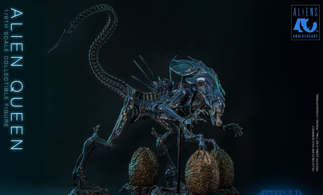 Preorder🔥Hot Toys MMS903 Aliens - 1/6th scale Alien Queen Collectible Figure