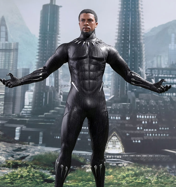 🔥Hot Toys MMS470 BLACK PANTHER 1/6 BLACK PANTHER