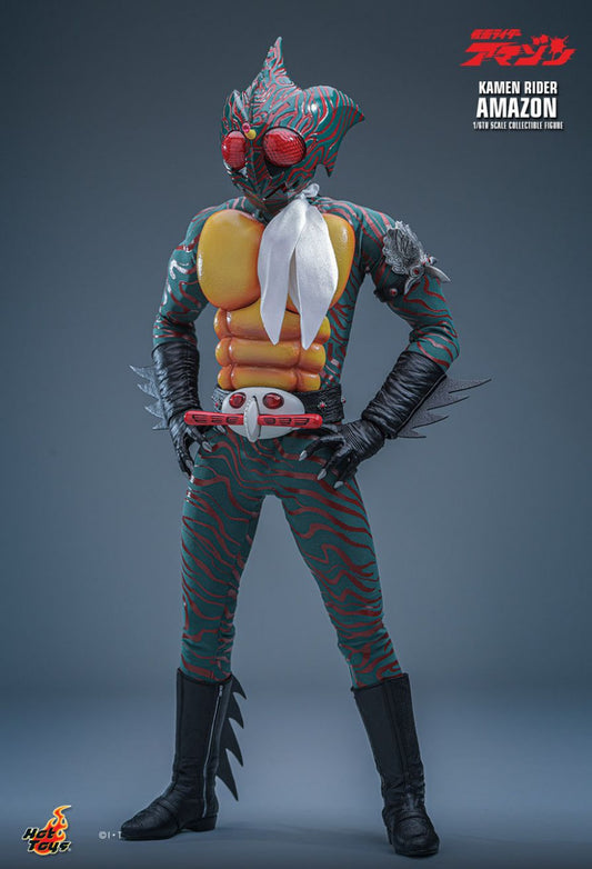 Preorder🔥TMS184 Kamen Rider Amazon Kamen Rider Amazon 1/6th scale Collectible Figure
