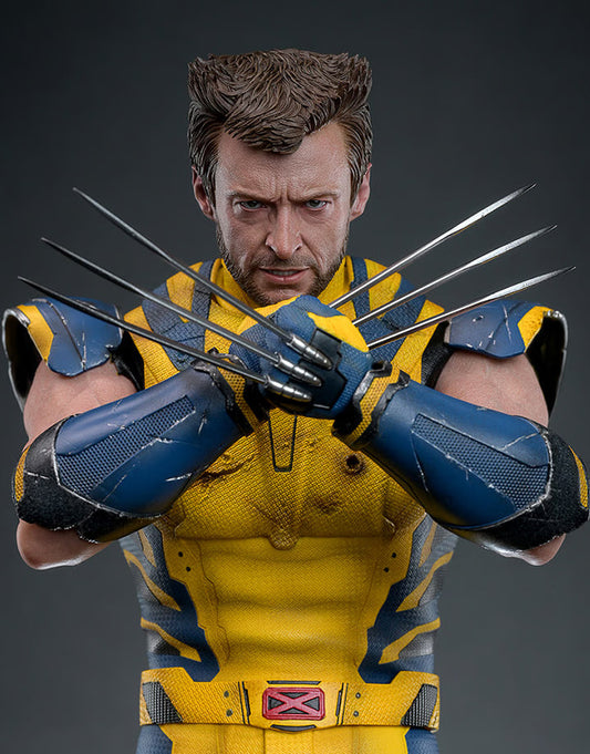 Preorder🔥Hot Toys MMS754 Deadpool and Wolverine - Wolverine 1/6 Scale Collectible Figure Deluxe Edition