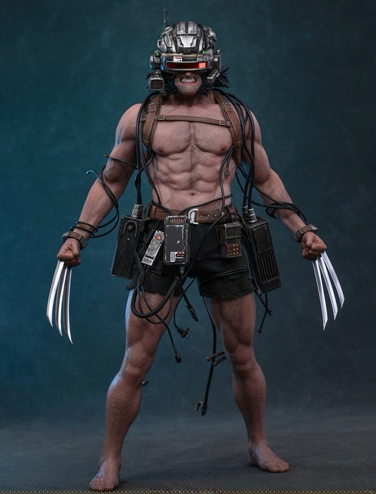Preorder🔥Hot Toys CMS034 Marvel Comics Weapon X 1/6th scale Collectible Figure