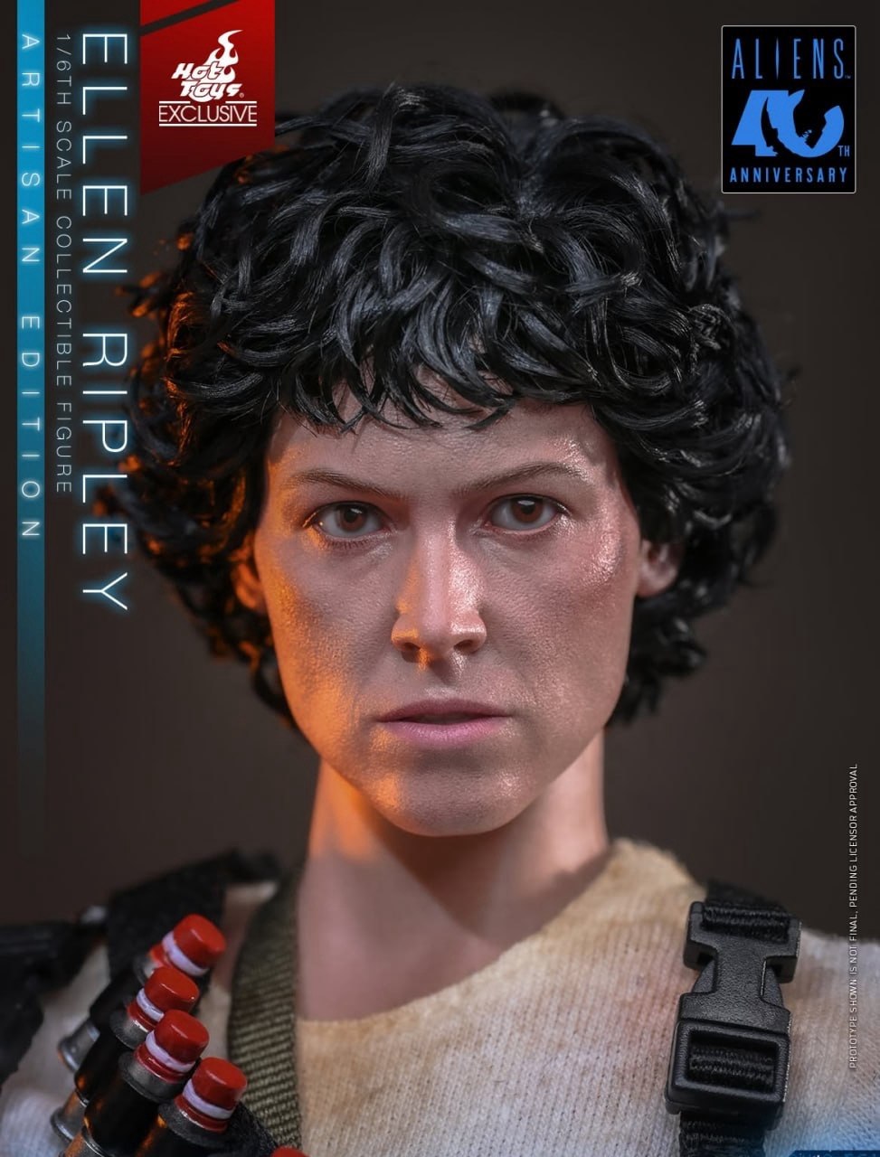 Preorder🔥Hot Toys MMS896AE Aliens Ellen Ripley (Artisan Edition Deluxe Version) [Hot Toys Exclusive] 1/6th scale Collectible Figure